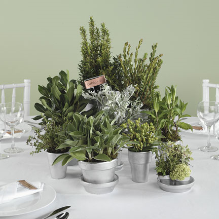 You don 39t have to use the potted plants just as centerpieces