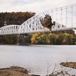 Real Pittsburgh Engagement: Ginger & Russ