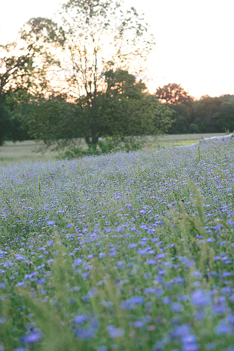 Redmond_Bratcher_Jessie_Holloway_Photography_ErinRedmondEngagement83_low