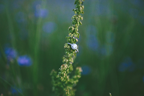 Redmond_Bratcher_Jessie_Holloway_Photography_ErinRedmondEngagement96_low