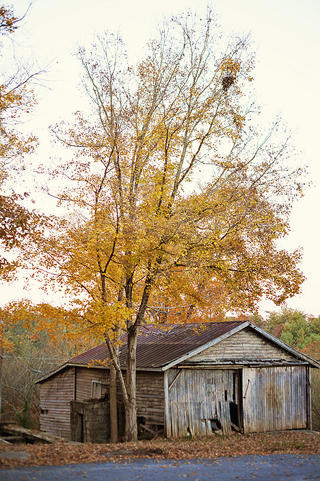 Kiser_Taylor_Love_it_Forever_Photography_MG1154_low