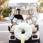 Crazy About Wedding Transportation!