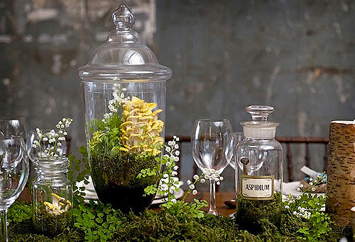 apothecary jars