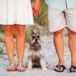 Real Fort De Soto Park Engagement: Jamie & Mark