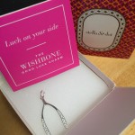 Wishbone Charm Necklace from Stella & Dot!