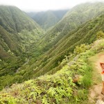 4 Maui Adventures for Adrenaline Junkie Honeymooners