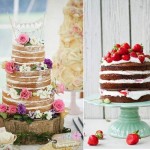 Crazy About Naked Cakes!