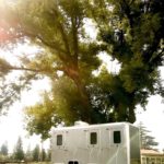 Commonly Missed Outdoor Wedding Accommodations for Your Guests